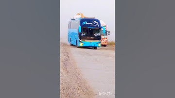 Bus best Short 🫶 #carbuslover #bus #shorts