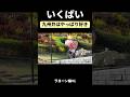 【いくばい】九州の方言すき【今日好き】#abema #今日好き #切り抜き#shorts#fyp