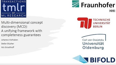 Multi-dimensional concept discovery (MCD): A unifying framework with completeness guarantees (TMLR)