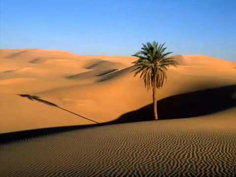 music TWAREG موسيقى الطوارق
