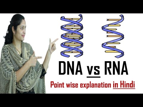 Difference between DNA and RNA in Hindi | DNA vs RNA - YouTube