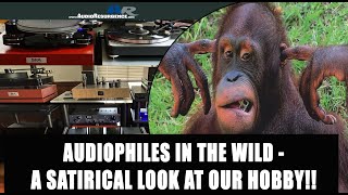 Audiophiles in the Wild: A Satirical Look at Audiophiles and Their Spouse...