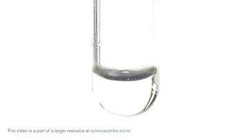 Cation F: Add 2 drops NaOH