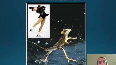 BI 101 Chapter 2 PowerPoint OutlineV