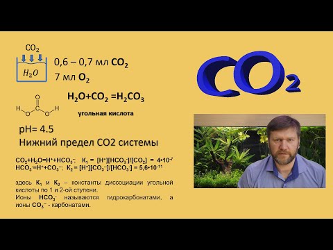 Углекислый газ. Влияние на параметры воды