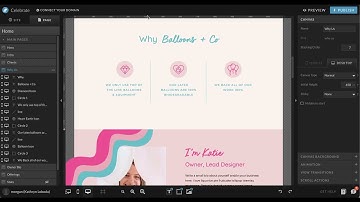 Showit Interface Basics, Pages, Site Settings, Domain