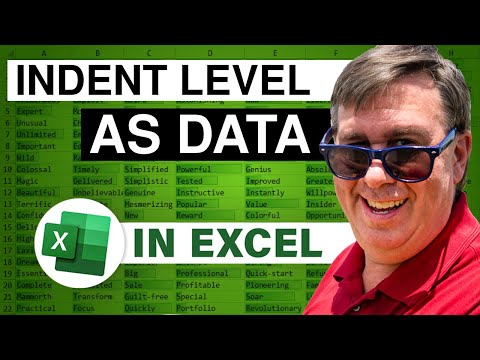 Mga Antas ng Indent ng Excel Bilang Data - 2411