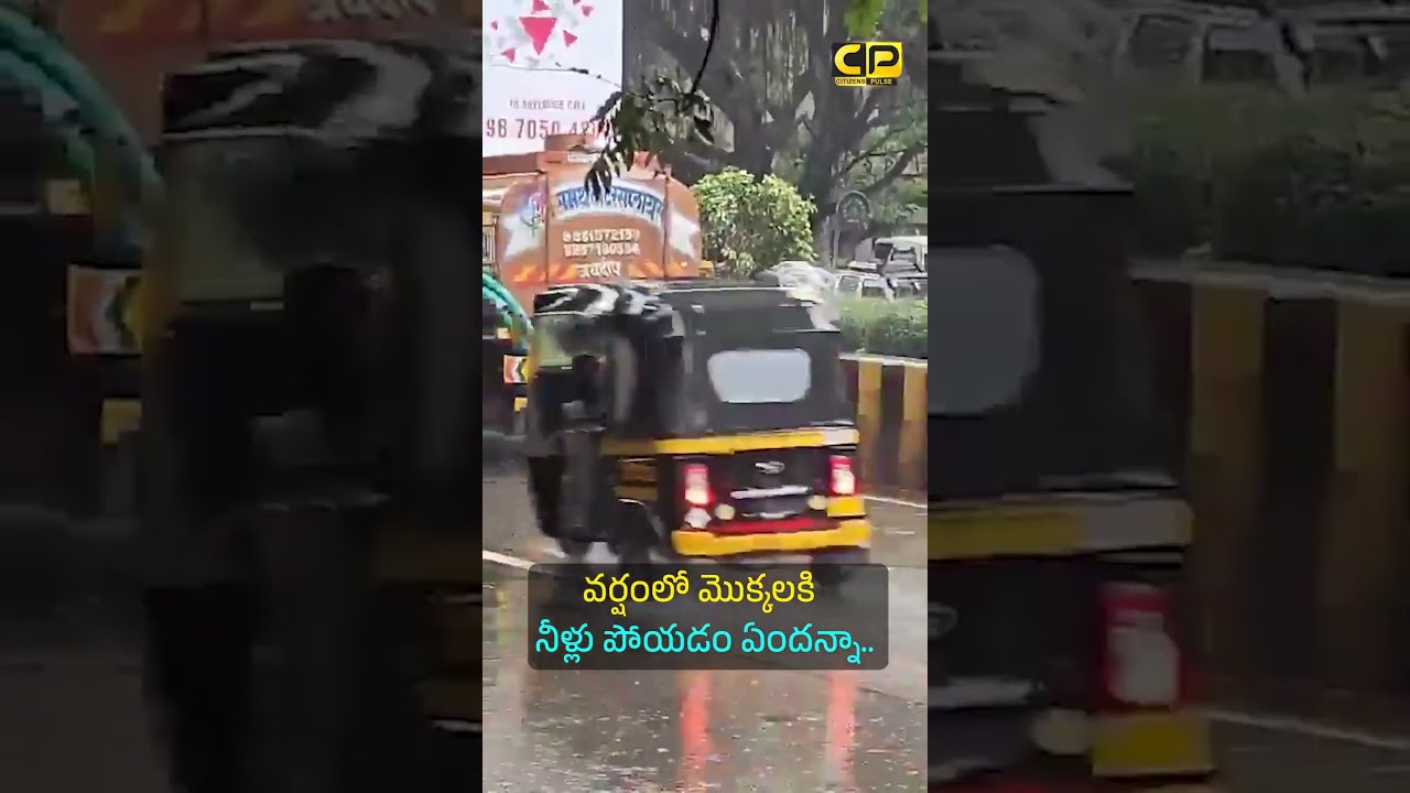వర్షంలో మొక్కలకి నీళ్లు పోయడం ఏందన్నా.. #pune #municipal #punemunicipalcorporation #india