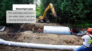 Salmon Habitat Restoration: Culvert Replacement Timelapse