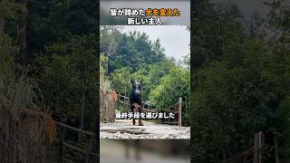 皆が諦めた犬を変えた新しい主人