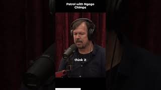 Joe Rogan And James Reed Ngogo Chimp Empire