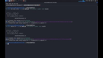 TLSx Explained | Detecting SSL/TLS Certificate Misconfigurations Like a Pro 🔐