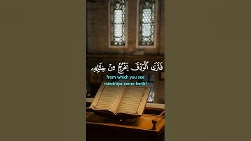 #القرآن_الكريم #راحه_نفسيه #تلاوة_خاشعة #العراق #السعودية #مكة #الحرم #المصحف
