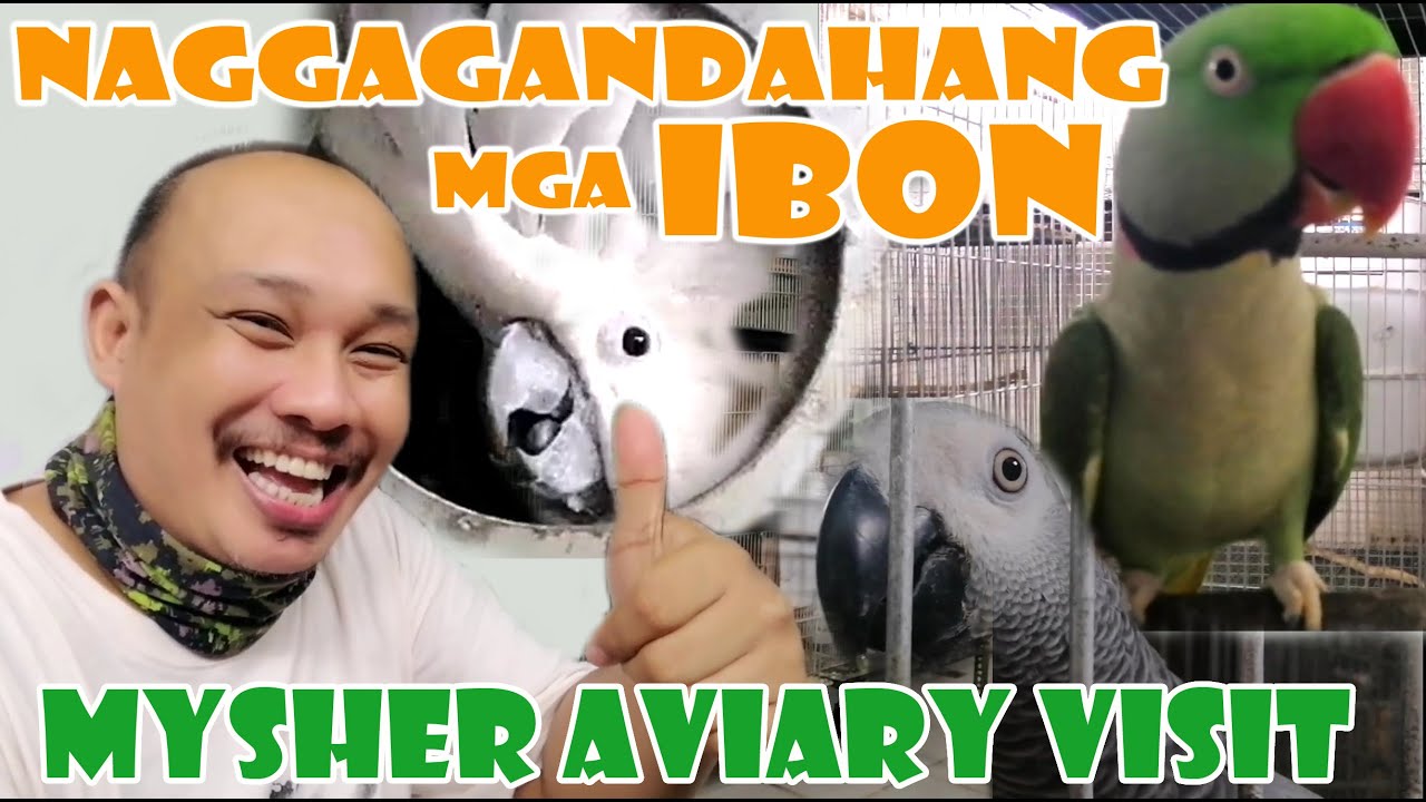 NAG GAGANDAHANG MGA IBON | MYSHER AVIARY VISIT