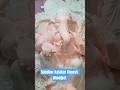 Sundhar kalakar Ganesh Dhoolpet|Dhoolpet painting started 2025 |#shorts #shortvideo #dhoolpet