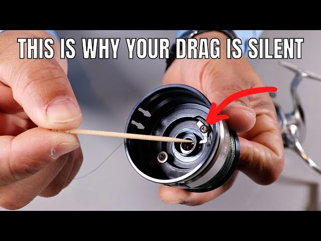 noisy shimano spinning reel Here's Why Your Drag is Silent On Your Spinning Reel
