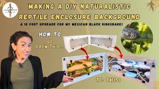 How To Build A Naturalistic Background For Snake Enclosures: The Process... and Results!