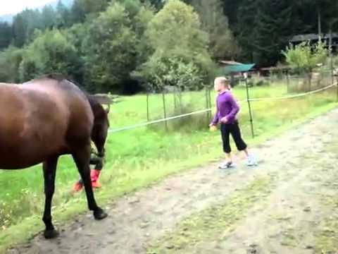 Horse farted and scared itself AND CHILD