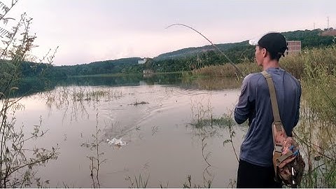 Câu cá lóc_Đập nhỏ mấy con hàng ú nu @Hữunghị tv