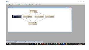 Netica for Bayesian Network George Mason University