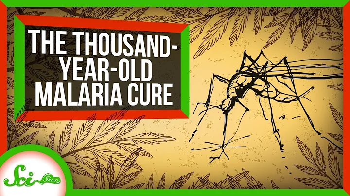 How an Ancient Remedy Became a Modern Cure for Malaria - DayDayNews