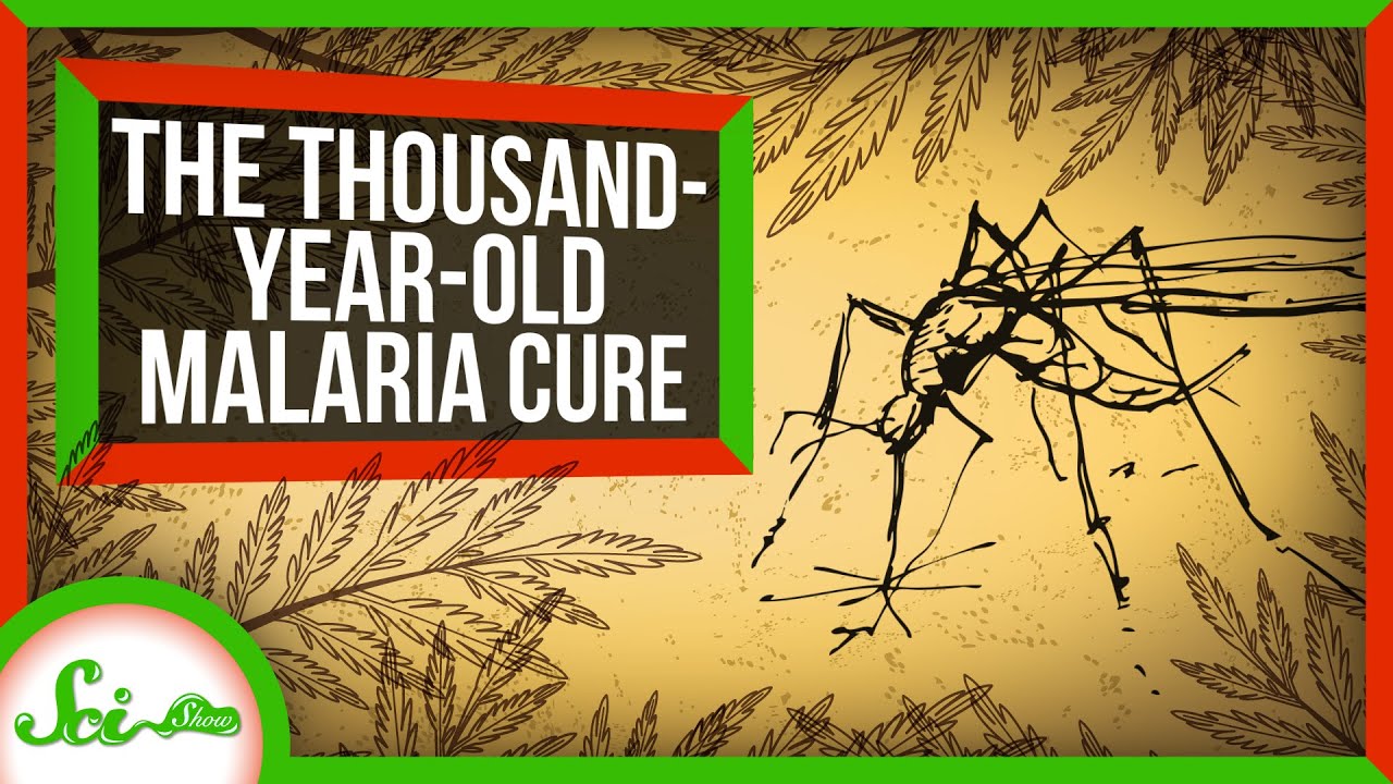 How an Ancient Remedy Became a Modern Cure for Malaria