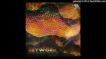 Sonic Entity - Out There (Original Mix)