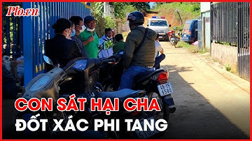 Con trai 15 tuổi ở Lâm Đồng sát hại cha rồi đốt xác phi tang - PLO