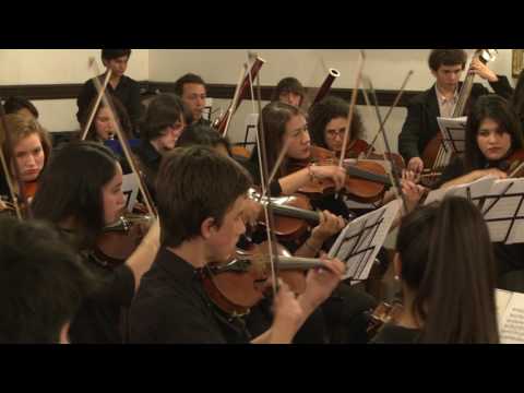 Beethoven, 5ta sinfonía, 1er movimiento. Orquesta Escuela de Berisso