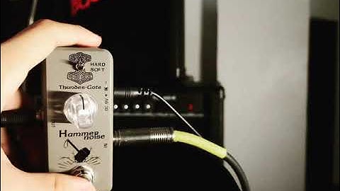 Movall Hammer Noise Gate!