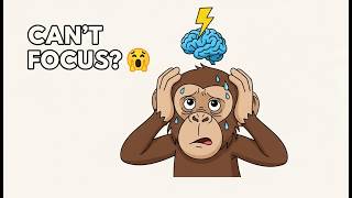 Celebrity Why Monkey Can’t Focus Profile