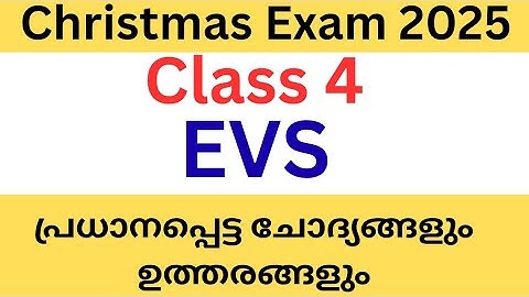 Class 4 Christmas exam important questions and answers 2025