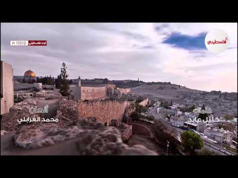 هواها فلسطيني الطفل البسيوني