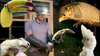 Croc monitor, screaming hair armadillo, toucan, sanctuary vlog!