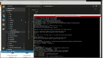 Golang - VueJS - Kubernetes - Docker - AWS [024] - Basic Client Setup