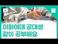 📚모트독서실📚│장작 ASMR🔥│모트모트│실시간 스터디윗미│같이 공부해요│이대│이화여대│공대│공대생│study with me live│공부할 때│백색소음