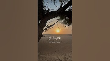 سورة الكهف نور ما بين الجمعتينّ✨#quran #تلاوة_خاشعة #قرآن #قران_كريم #اكسبلور #لايك #fyp  #explore
