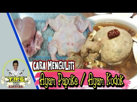 Video: Cara Menguliti Ayam