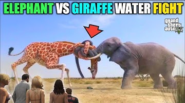 Elephant Vs Giraffe / Fight For Water In #gta #gta5 /Jordan Gamer Gameplay