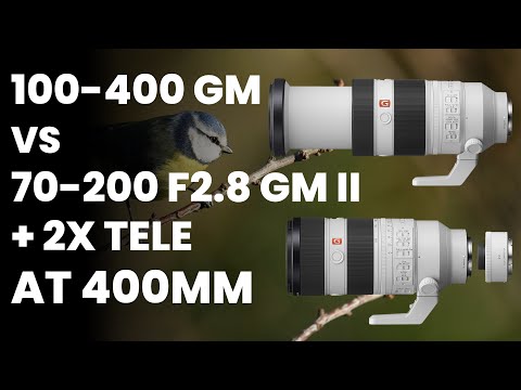 Size Comparison: FE 200-600 G Vs. FE 600 GM Vs. FE 400 GM Vs. FE 100-400 GM  and More