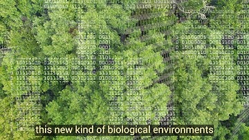 GYOC ○ S+T+ARTS Residency: Urban Data Forest ○ In4Art