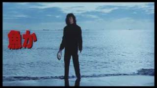 Dioxin from Fish!! 「魚からダイオキシン!!」