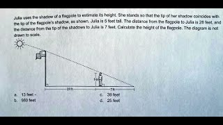 Math Julia Uses The Shadow Of A Flagpole To Estimate Its Height She Stands So That The Tip Of Her