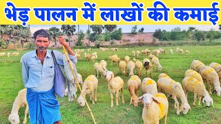 बकरी पालन और भेड़ पालन में अंतर | भेड़ पालन की पूरी जानकारी | Sheep palan in hindi