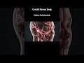 #Important things nursing students knowledge gain video # GNM BSC nursing students # nursing notes #