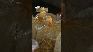 &quot;ป้าเพชร&quot; จ.เชียงใหม่ ขายเเกงถุง 10 บาท ขวัญใจผู้มีรายได้น้อย | Thai PBS news