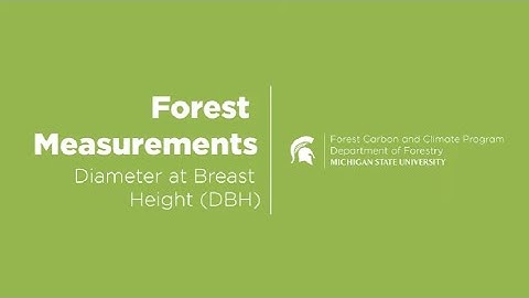 Forest Measurements  DBH