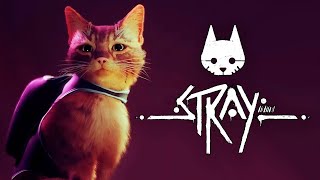 видео: КОШАЧИЙ КИБЕРПАНК - БРЕЙН ИГРАЕТ В STRAY #2 картинка: КОШАЧИЙ КИБЕРПАНК - БРЕЙН ИГРАЕТ В STRAY #2