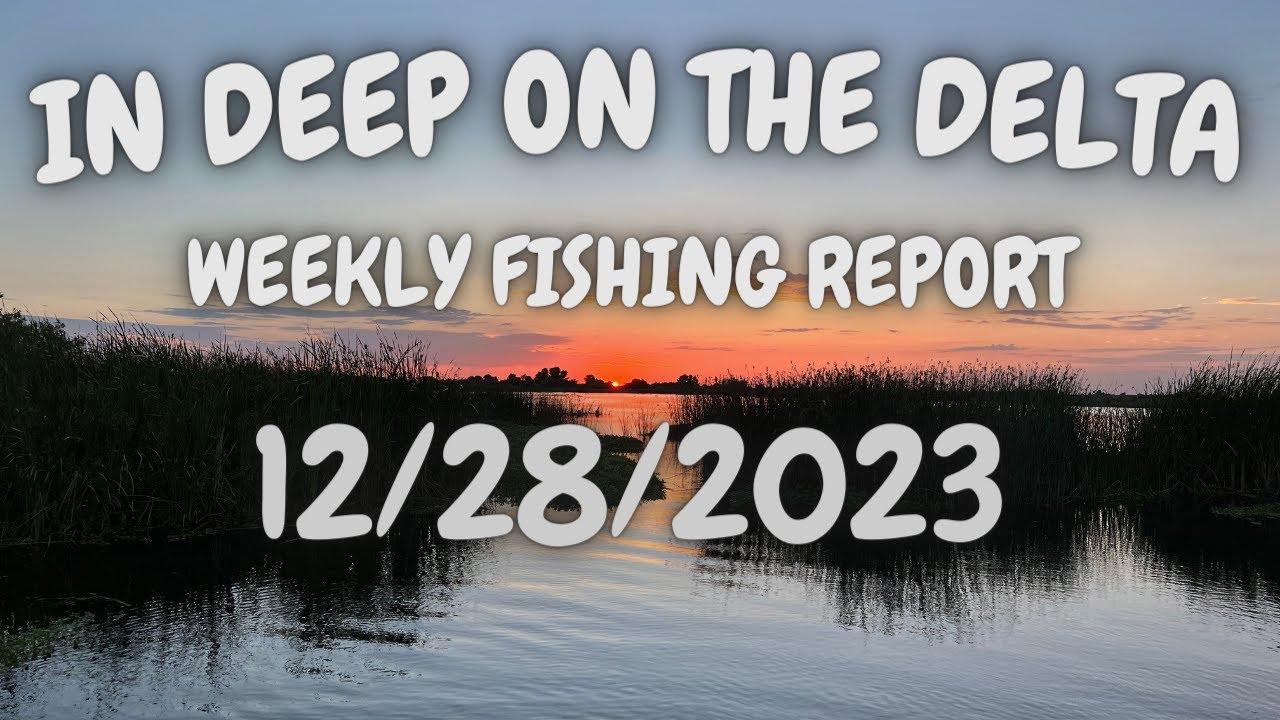The In Deep On The Delta Weekly Fishing Report For 12/28/2024.