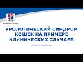 Вебинар на тему: “Урологический синдром кошек на примере клинических случаев”.